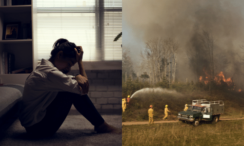mental health and climate change, forest fires and mental health